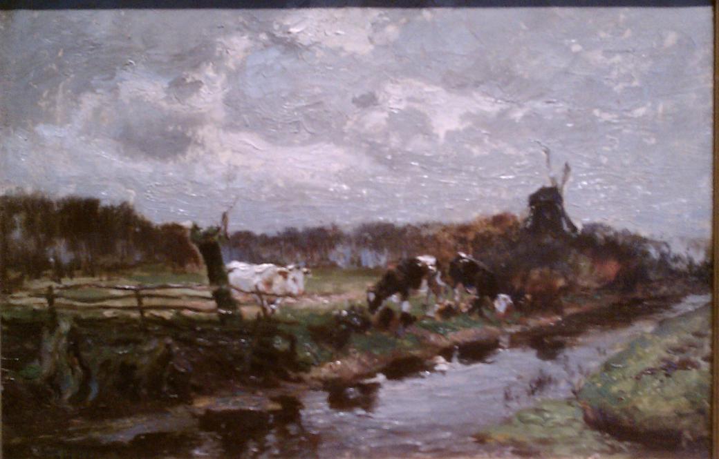 Cows along a stream with a partial fence.