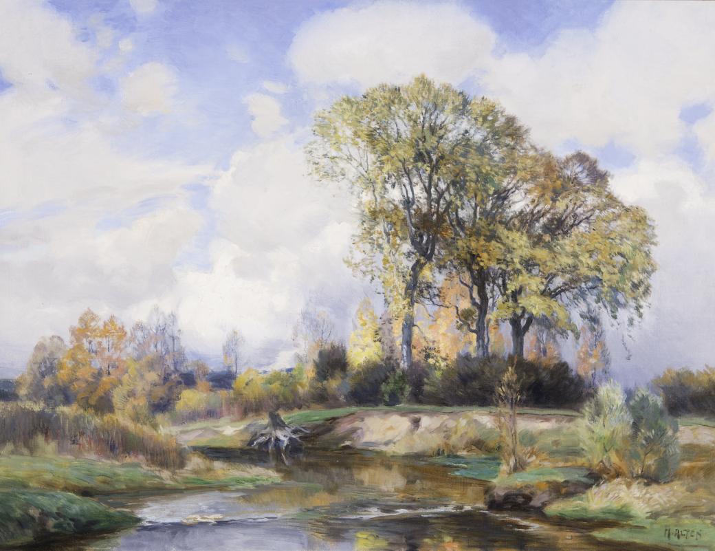 Bright scene of green trees and grass along the banks of a river or creek.