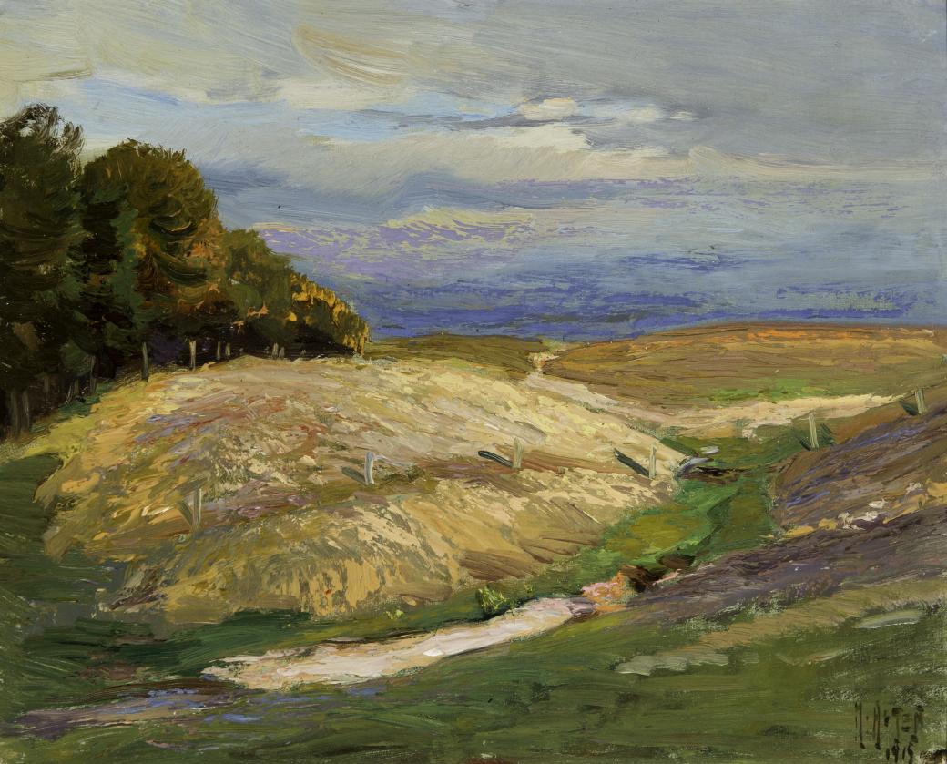 Large, light yellow colored fields, with green grass, trees and blue sky surrounding them.