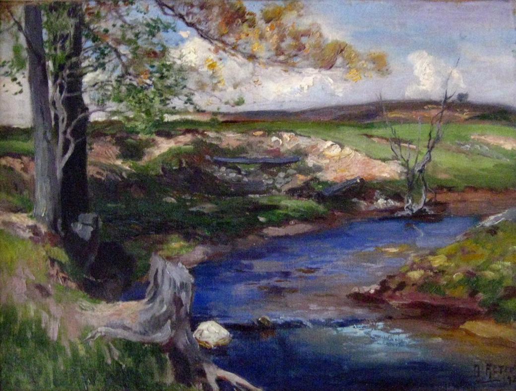 Deep blue stream in LR with trees on the left and a field with a pale sky in the background.