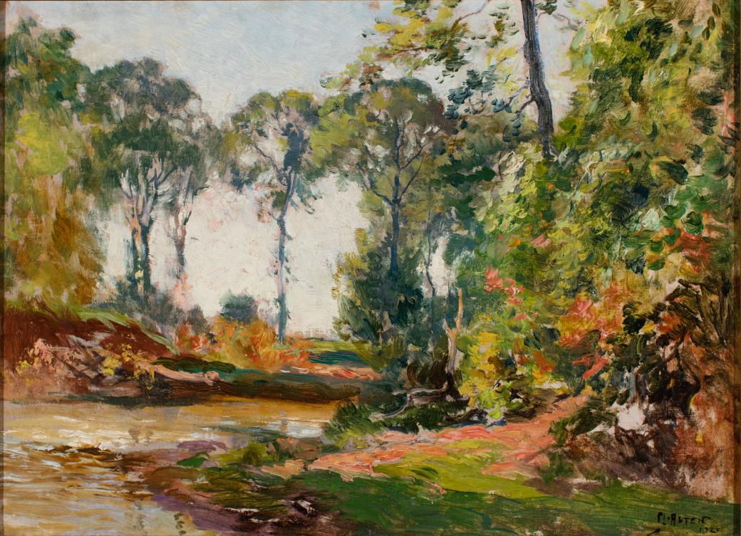 View from within a wooded area.