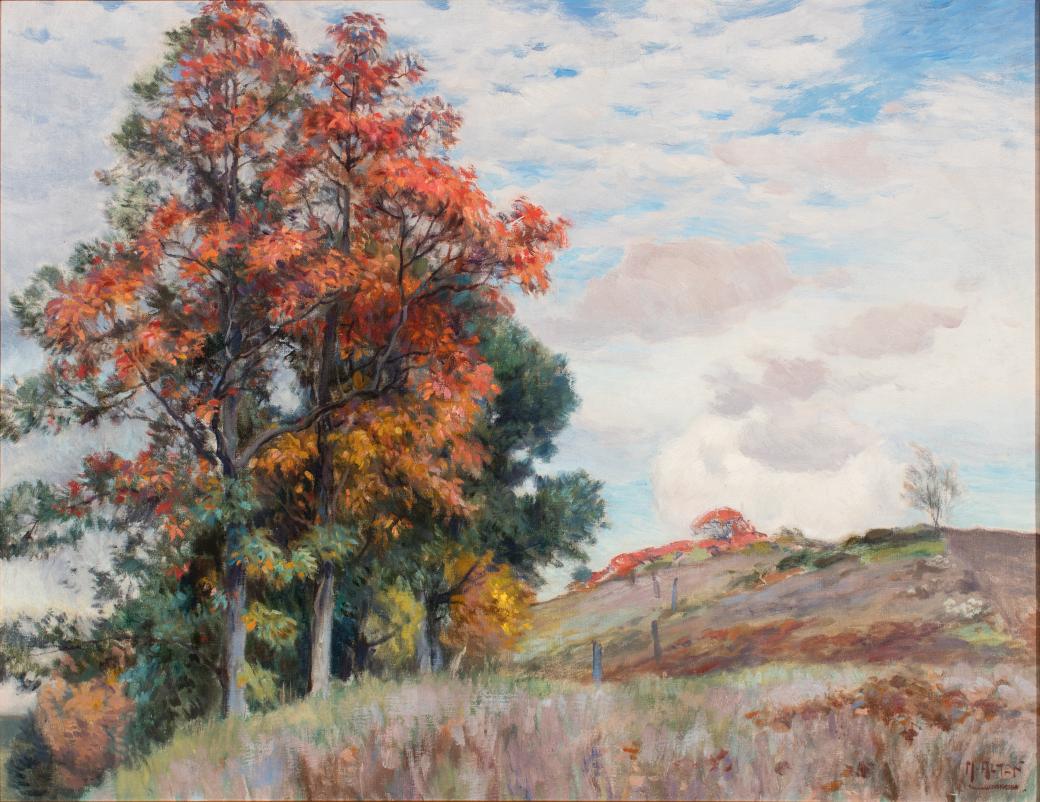 Grassy hill with orange and green trees.