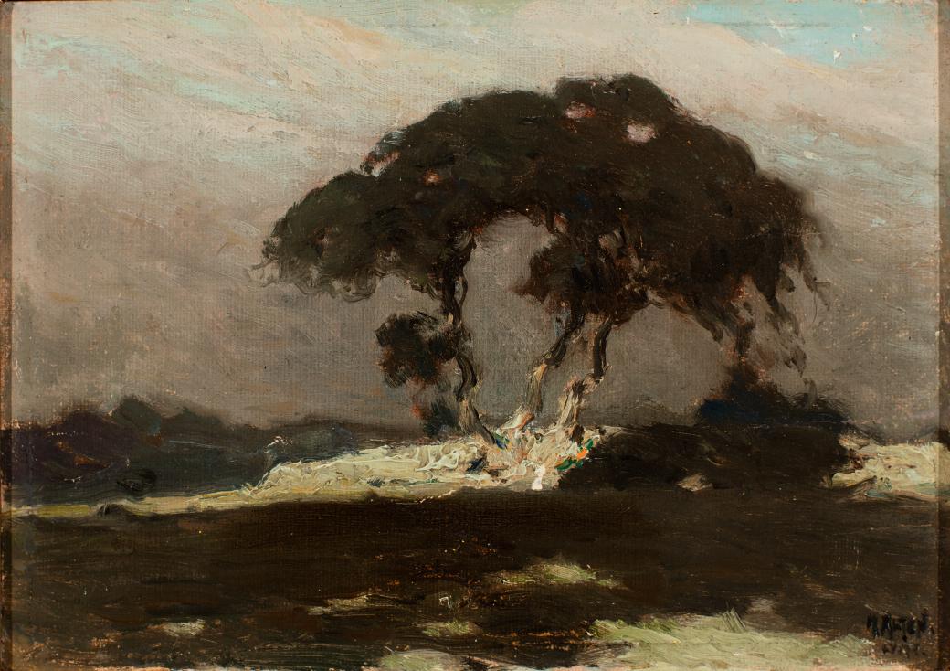 Dark image of a large tree, mostly dark greens and greys.