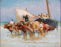 A large team of oxen in the water pulling boats, one boat it white, the other blue and red.
