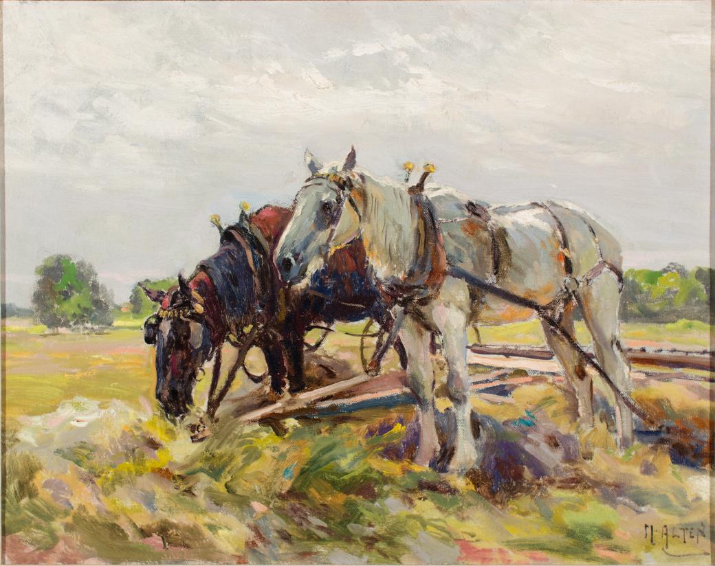 Two harnessed draft horses standing in a field.