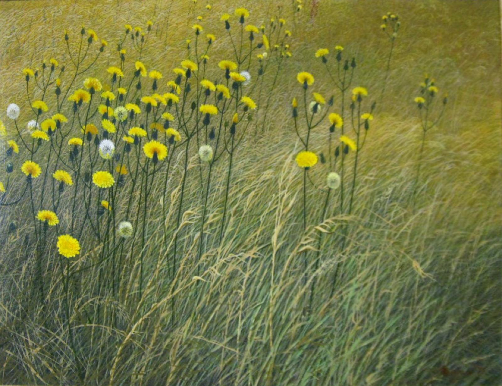 Wheat field with yellow and white flowers blowing in the wind.