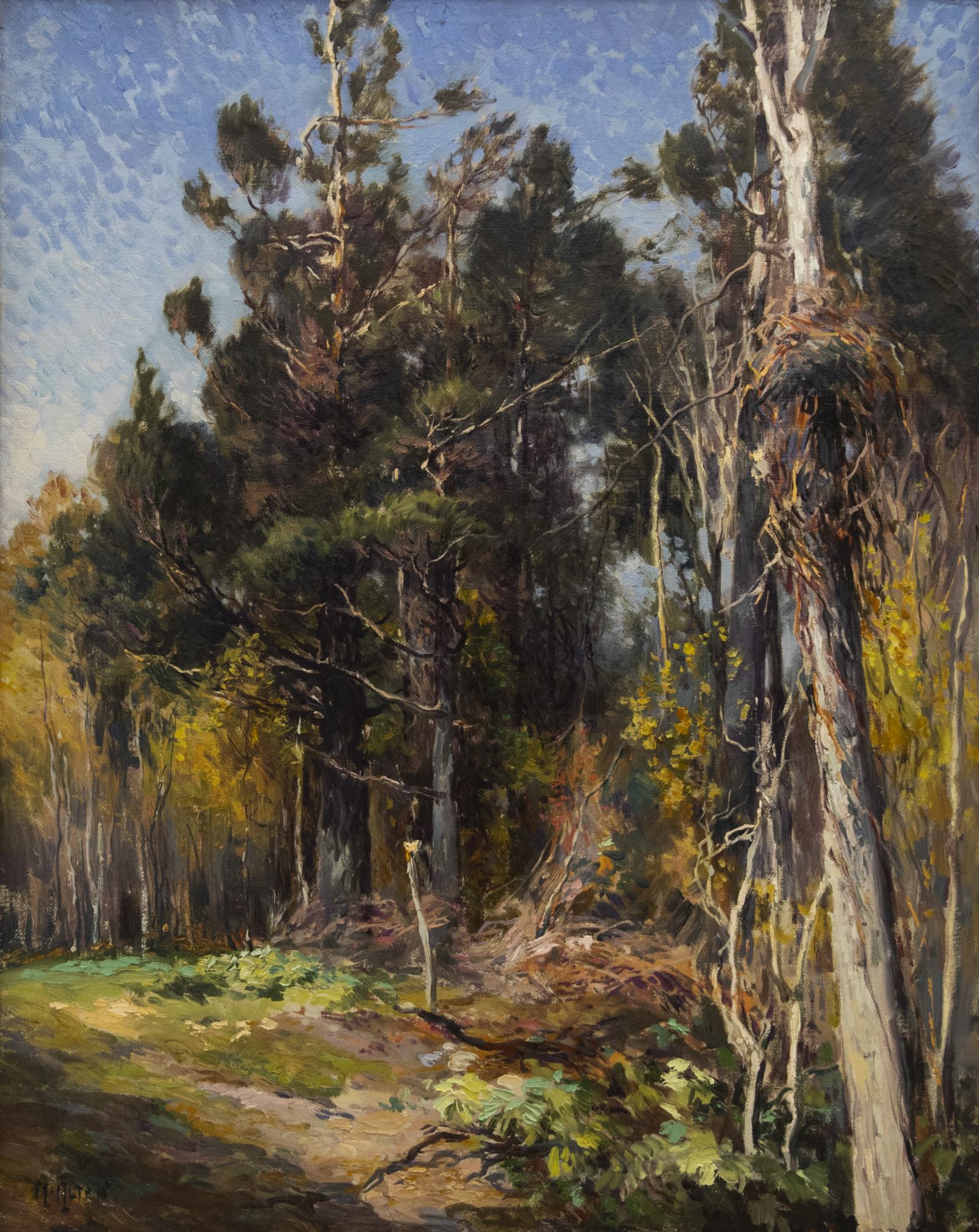 Oil on canvas painting of an area with tall trees and grass.