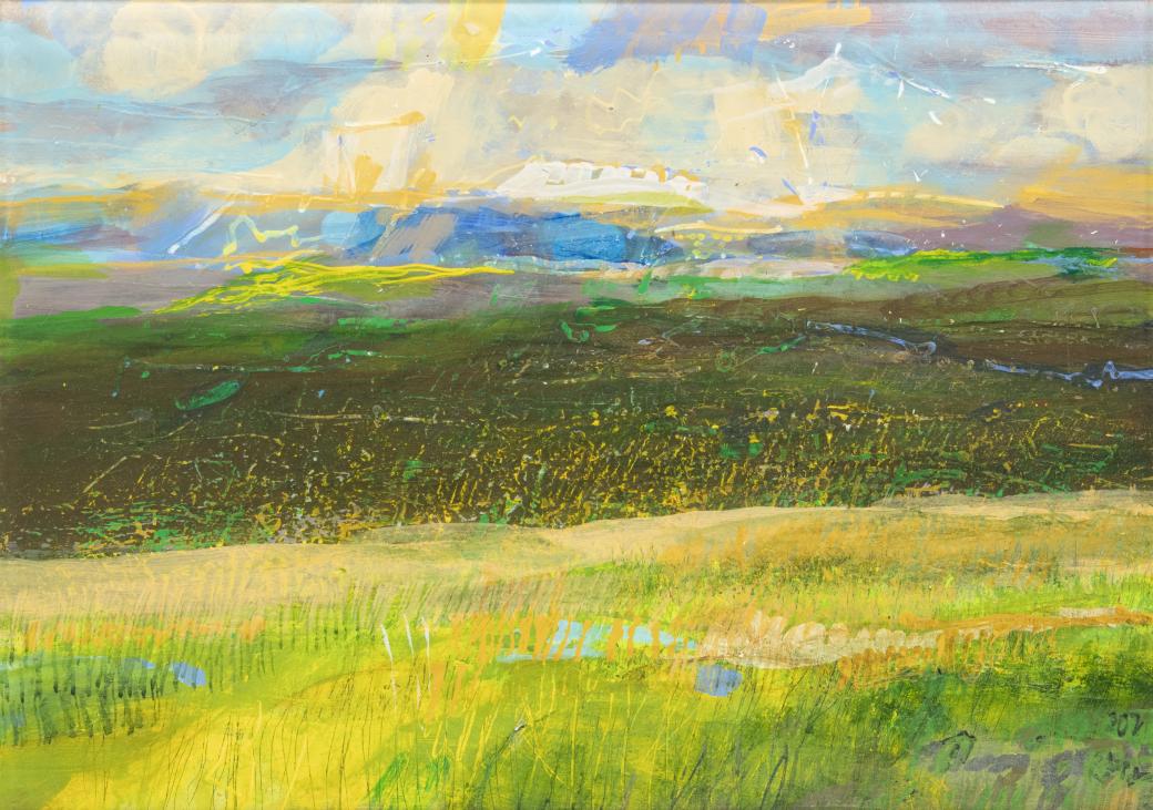 Abstract landscape with white clouds and bright blue in the sky along the top, an area of darker greens and browns at the center, and light area of grass along the bottom with greens, oranges and blues.