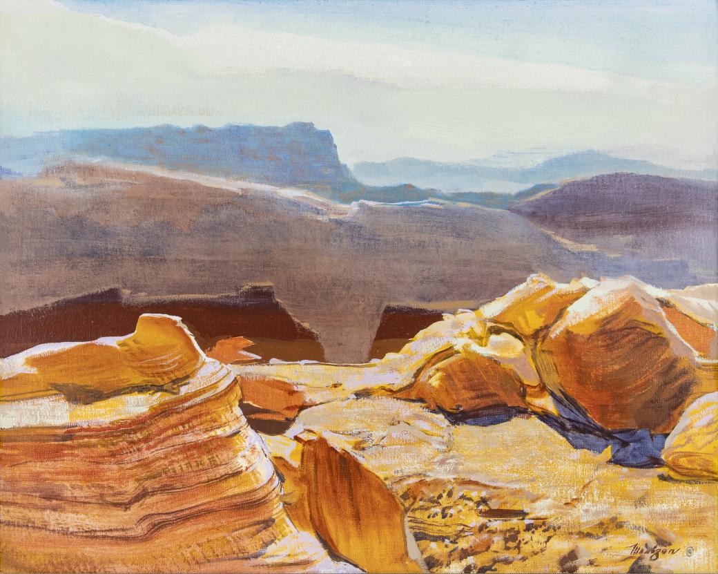 Desert canyon scene.