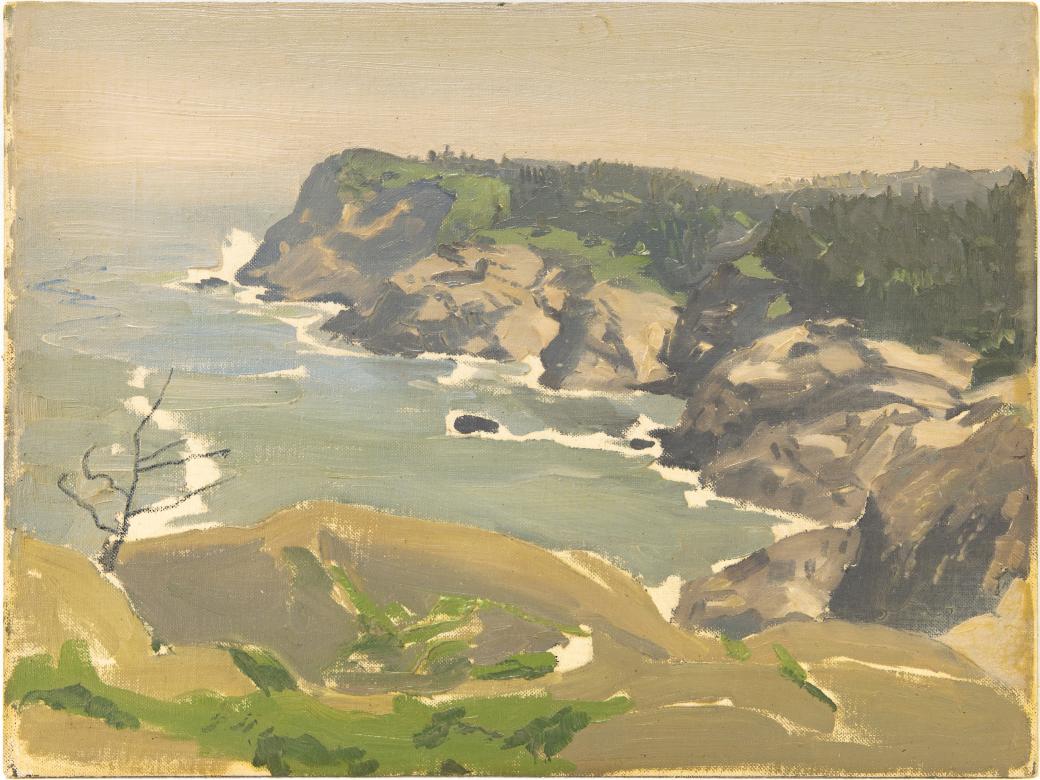 Image is of a rocky water side area from an aerial view.