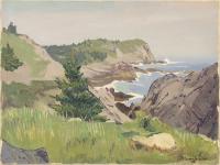 Image is of a rocky water side area.