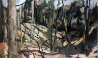 Ravines 