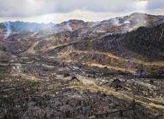 Logging and Slash-And-Burn Agriculture Level, Borneo's Rainforest