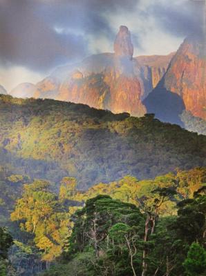 Rainforest and Granite Mountains, Serra Dos Orgaos National Park, Brazil