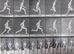 Eadweard Muybridge