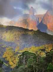 Rainforest and Granite Mountains, Serra Dos Orgaos National Park, Brazil