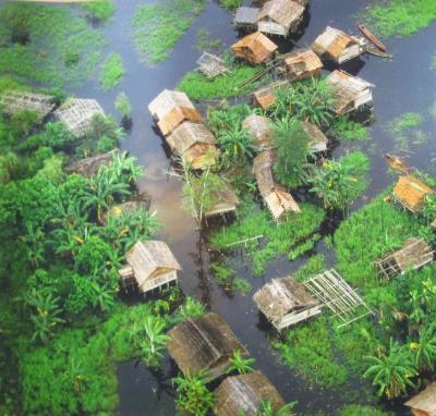 Aerial View of Rainforest Village