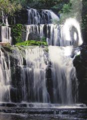 Purakaunui Falls Cascading in Tropical Rainforest, Catlins, South Island, New Zealand