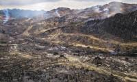 Logging and Slash-And-Burn Agriculture Level, Borneo&#039;s Rainforest
