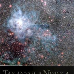 Tarantula Nebula