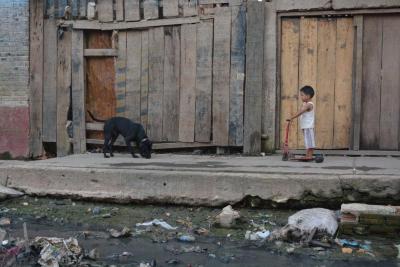 Boy Meets Dog