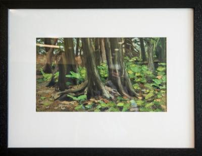 The Cedar Woodland, Mackinac Island