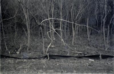 Grand River Ravines