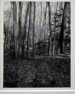 Grand River Ravines