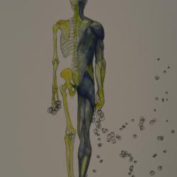 Anatomy Appropriations No. 23