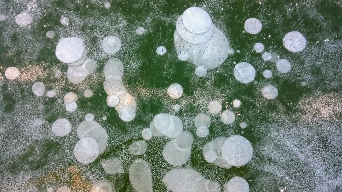 Frosted Effervescence #1