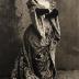 Ada Rehan as Katharina in "The Taming of the Shrew" (Act II, Scene I)