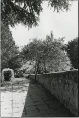 Wall, Shadow and Tree, Orvieto, Umbria