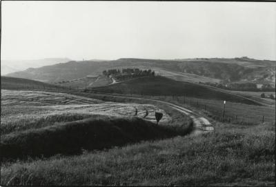 Near Pienza, Tuscany