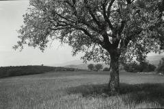 Near Colonnetta, Umbria