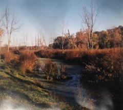 Fall Stream, Reeds Lake