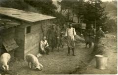 Untitled (Schweinezuent (Pig Farming)