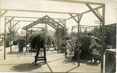 Untitled (Outdoor Greenhouse)