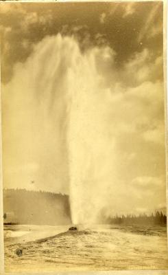 Untitled (Geyser)