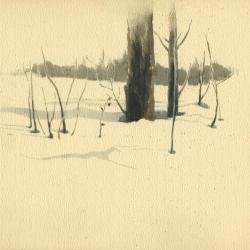 Snow Trees, Bruce Crossing, Michigan