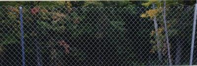 The Fence