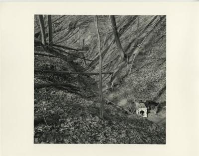 The Tangle