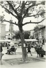 Piazza Margareta, Venice