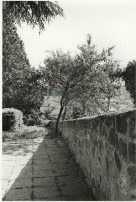 Wall, Shadow and Tree, Orvieto, Umbria