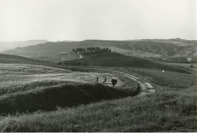 Near Pienza, Tuscany