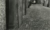 Street Cat, Orvieto, Umbria