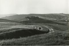 Near Pienza, Tuscany