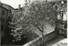 Orvieto, Umbria