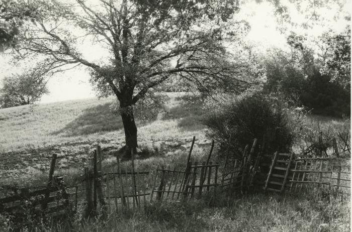 Near Orvieto, Umbria