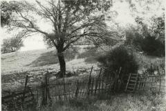 Near Orvieto, Umbria