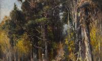 Upright Pines